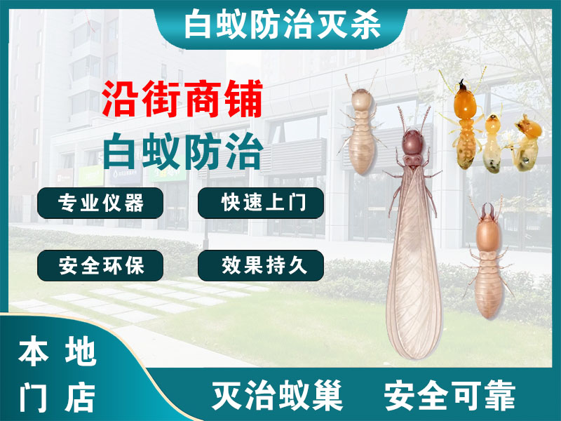 润州区沿街商铺白蚁防治