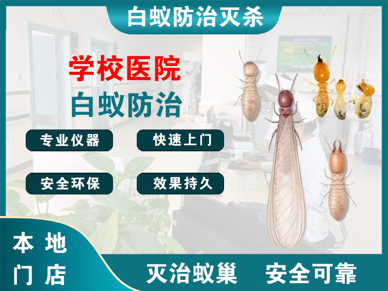 润州区学校医院白蚁防治