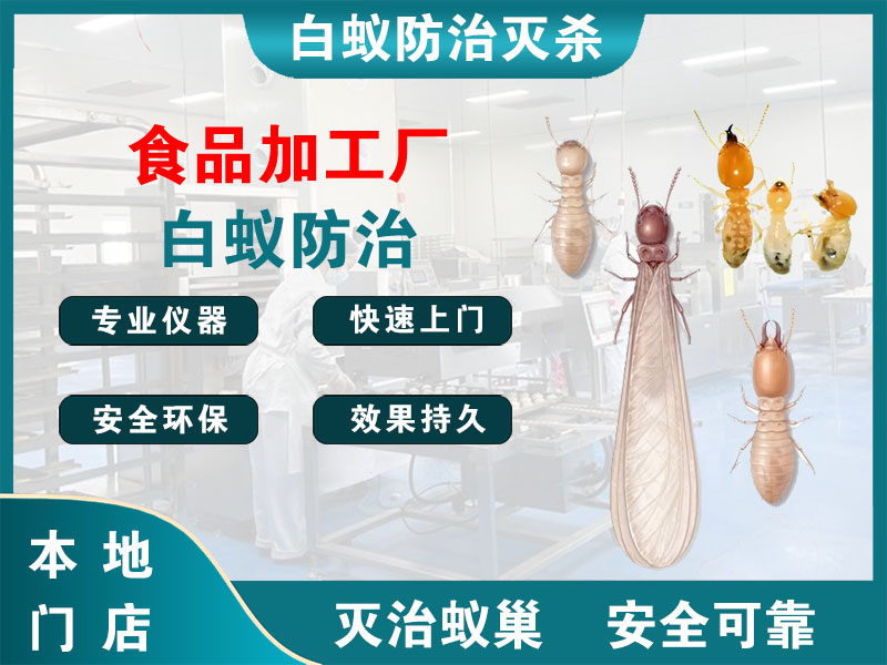 润州区食品加工厂白蚁防治