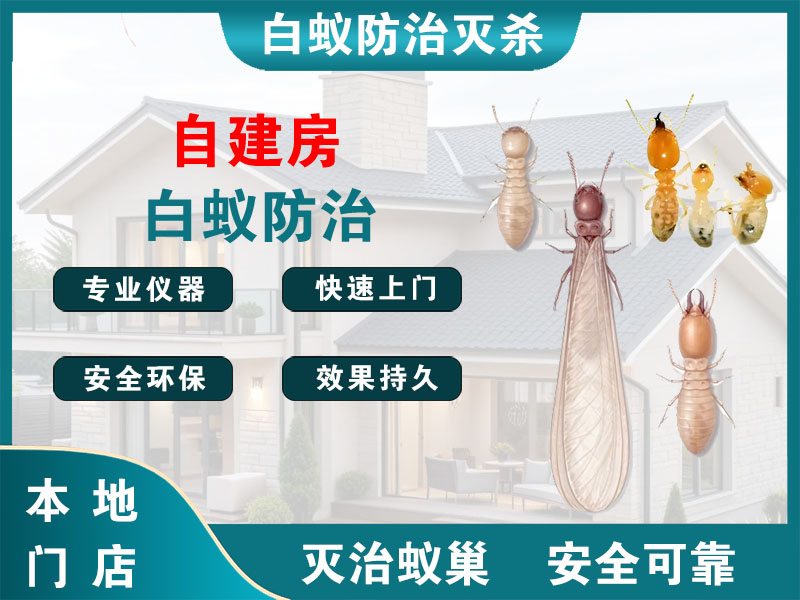 润州区自建房白蚁防治