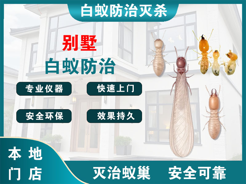 润州区别墅白蚁防治